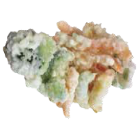 Tempura de verdura